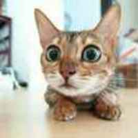 Cb17bc9f5bdc4541307632e4c75427ffb4207c7c