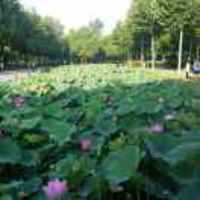 F813b846892b4d5c7d78351c653a6c560db056d4