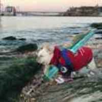 3061ba9c0f471fe7df2aa982fabfc3c89842877b