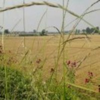 81c3e04d2d082d65270e8e98e2a3738ab87d5f25