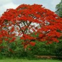 88b1a5cccc2330a735102caa709edf79419e2046