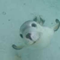 13c5d3c41d99c0b43504a27c21eec2b4c39af929