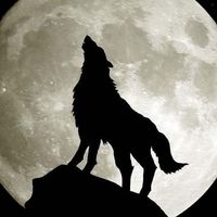 Df7a4d651e26d52c8c0e955f11435b0bb54dad03