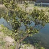 C97d7f79babaf7153a387e6ec784382b9f41ce2b