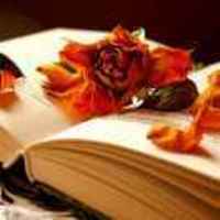 F8af4cb20f353cddcb32eb7f84b5234f997cc5f0