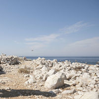 6acbede194ddbcfc4e0199ed6e7b4d8ec1fd54db