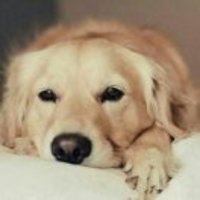 35aa6d11028f09a35daa02f10127ac36918e5aca