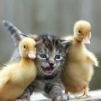 0c786d4087c80b05eaf63a6fc69a4e9d8d19a5c9