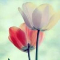 82c39362a5c00ac5ab1e690f835ab7f24a8c5868