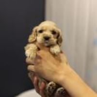 Ddad99a78cfad9b84b67310d7aa708a496f23d57