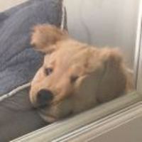 A37e0933d15828d0078719b11574c4398fb2b3c6