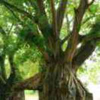 7d3fc303da0729f1e812dd79982b914361a7286b