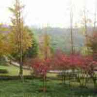 424238609ccc01f27e7ceb52110596ebf7d5c939