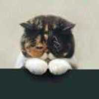 Dce8e8744e80c8cd1d4e833fe172acb7d307f5bb