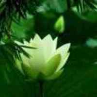 9aa4beab3ed79f0cf9d6276b11672bf4862875b6