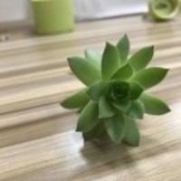 890066e45c7c212639effe78fb6d3da7841b2515