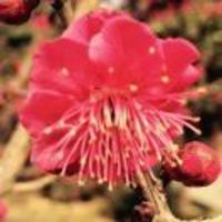 25a2ac25fb869c26ae516f5c714d153e373b7042