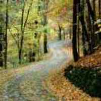 4f8d0e388e613bbf8e2da0f4e7798a7deabe8e84