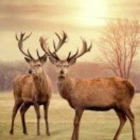 566be31b8fa8347887466e17e3215be0879c64b6