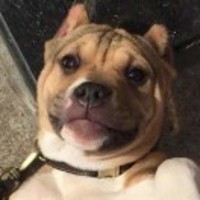 Aac18d6293e7b6e077f9f4b817d7a9c9e4d6f8b4