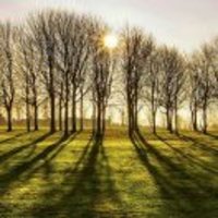 Dc130455839f6de01219fe6da4ee3b6bfc8de8fe