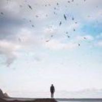 A64d8124475526b0639ab421918736eaa08f92d2