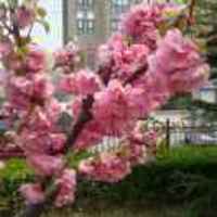 929f3c929cbc9e370cc24ad70eb133c0d4b0a9ed