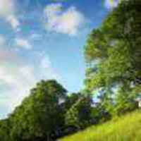 Dfb8a121bb31fb783a680db89337aea884986af4