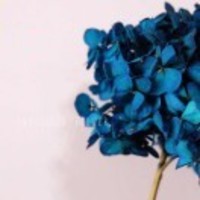 F60b86ec13b7a1c7e61d972272058bc48bdb9585