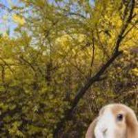 3f40e1a50466206c458cb71be807e004daaff75a