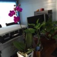 Cee7accb7bd8f6cee7362ab32e9e9a25c4680933