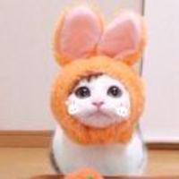 03fc70cdfe629d6e566376d9211faca7114ee5a1