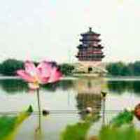 32a6201a927b75384c895f95978882529c02e677