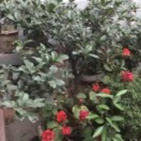 B6a97ba02ab8d606bcaf60295adb77ac8fa5aa3f