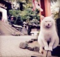 6c02dd54fa544e7bc8ebc1895f3af1a9a6abe381