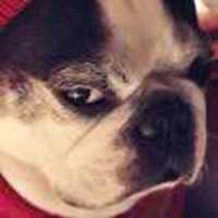 Ce84e5ff4790eb8441e6b6bd567eb596a3688fa8