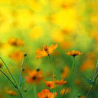 53977d645990200a2ab471ba32e3dd4beed6f7ef