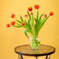 2b87bf2a6b72abd1a76c99435776c4829f80215f