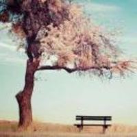 7662b7b3ffdc3c5df1dbcba3f3715788b92d5b32