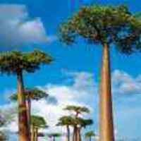 1d6e11466ba6dbb13555bd660d95f2e352eb7b1e