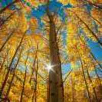 6e4d5c58aa90cde84599444a5d7f00a29e44e0e5