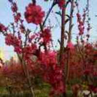 F3f9ce4d7bba4f9fce96e3320796380338dd7f3a