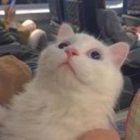 Bbbf08e0a69340d2fb8a3fa13380b9f4d9168121