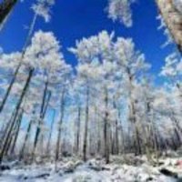 02eaf945b51b726631de34f7fb7e4be480f3162f