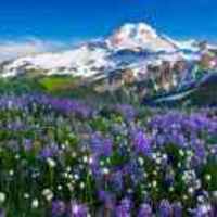 C5caec8548432942e6e79c63f79e7b2c28d59e15