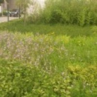 De5ca3227cc295428a1fcce2a9d9f648976a20e6