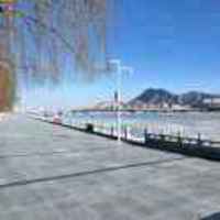 D42f3bb337ea0ae1d44c7e1ddad7d7f959cfbd58