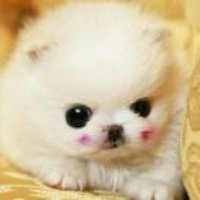 F5b7a03e4a7b7e9b2edec67d669c06ae6ffec09a