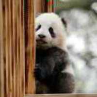 48e0c9c28e7cb655d4d4fbe1691d6dbece98e70b