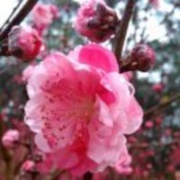 A12741181a85ecf68c1527dc79f5341e59afd24b